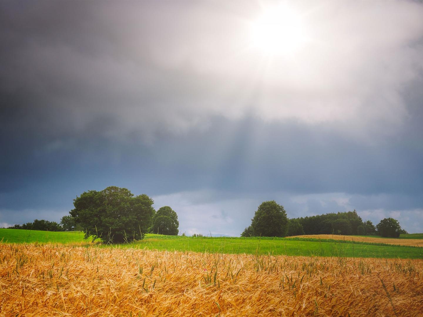 fietzfotos-harvest-6570698_1920