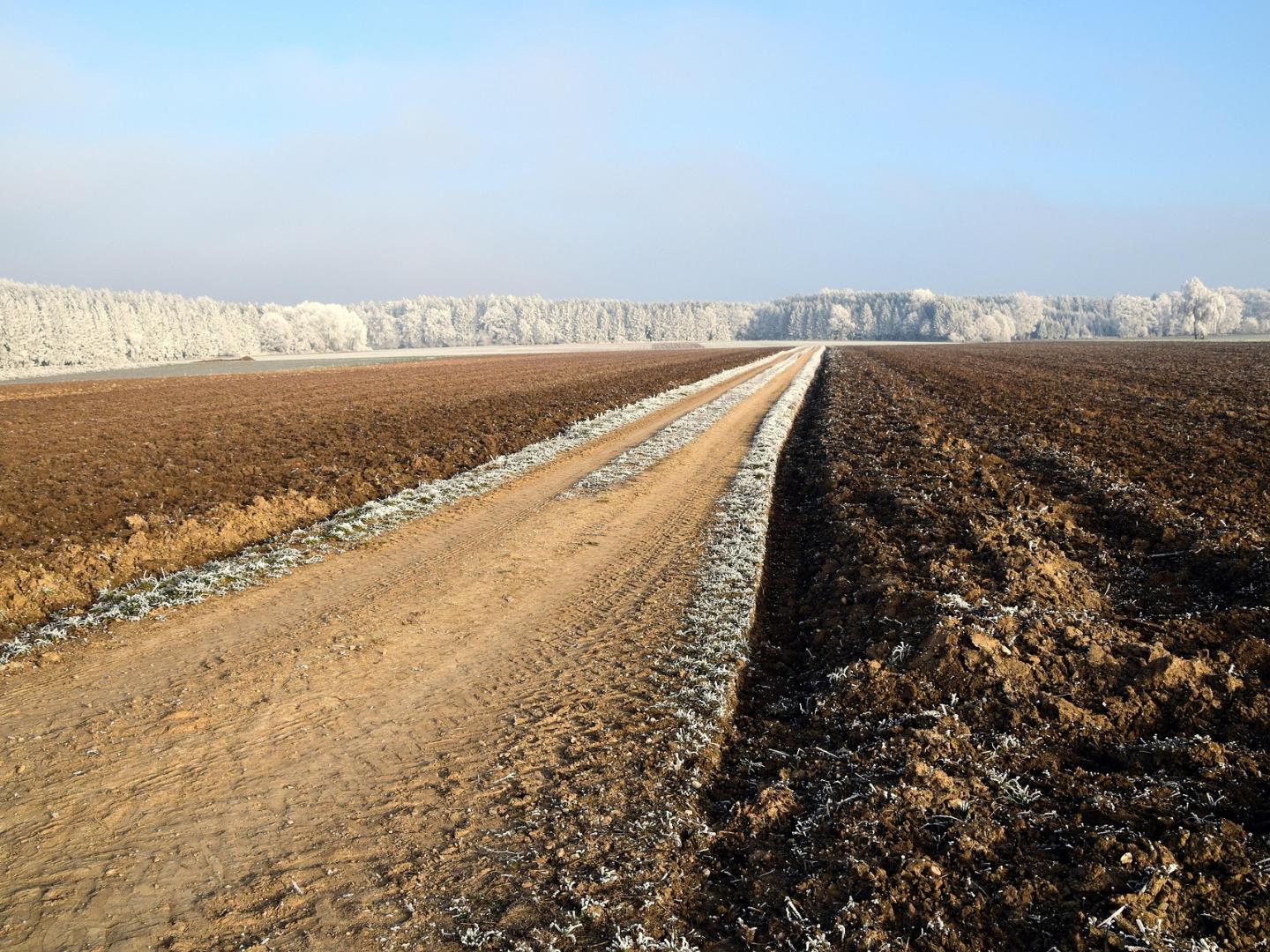 Weg in Ungewisse