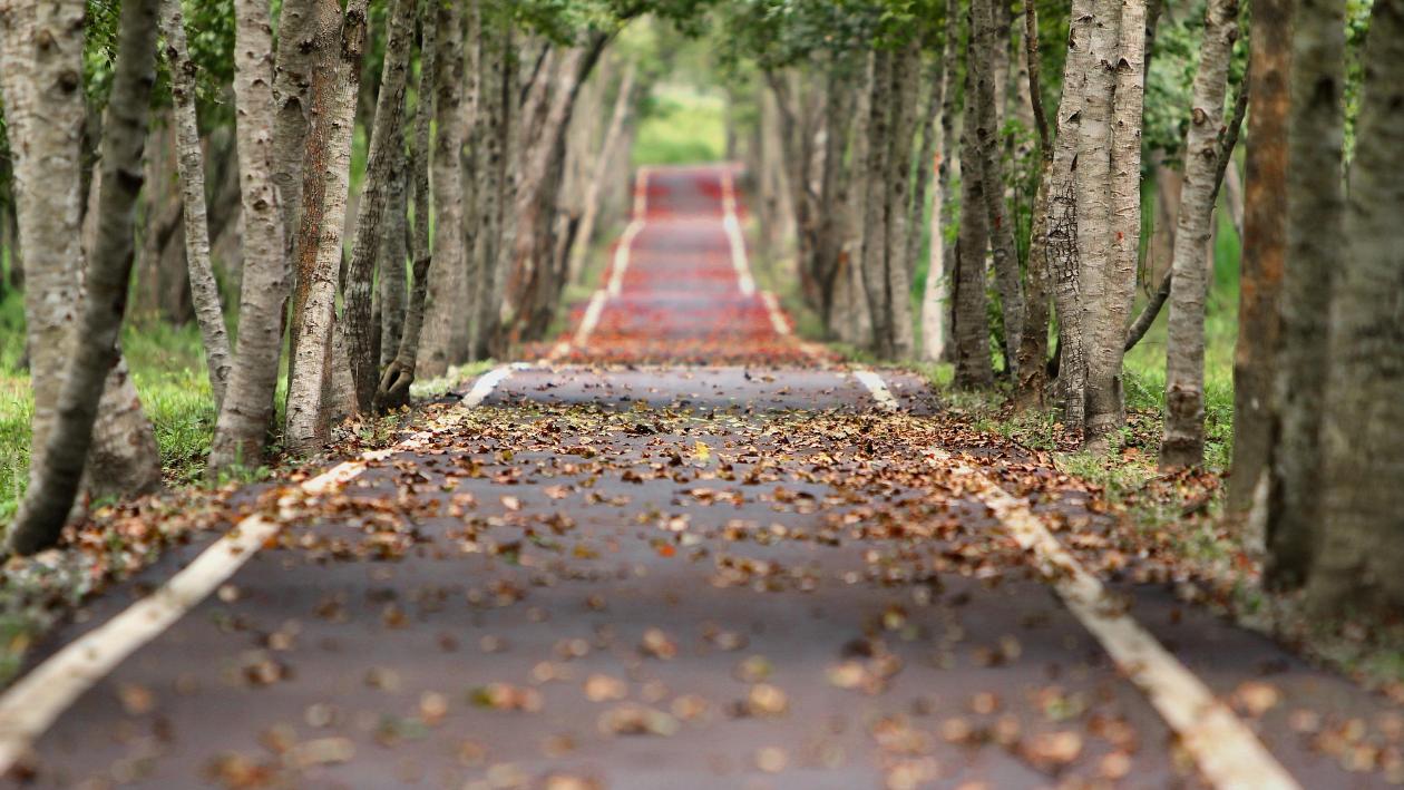 Herbst