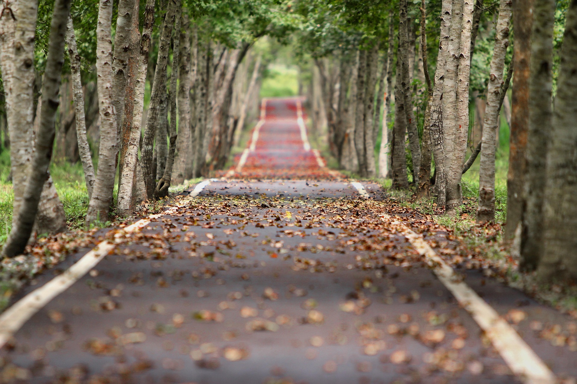 Herbst