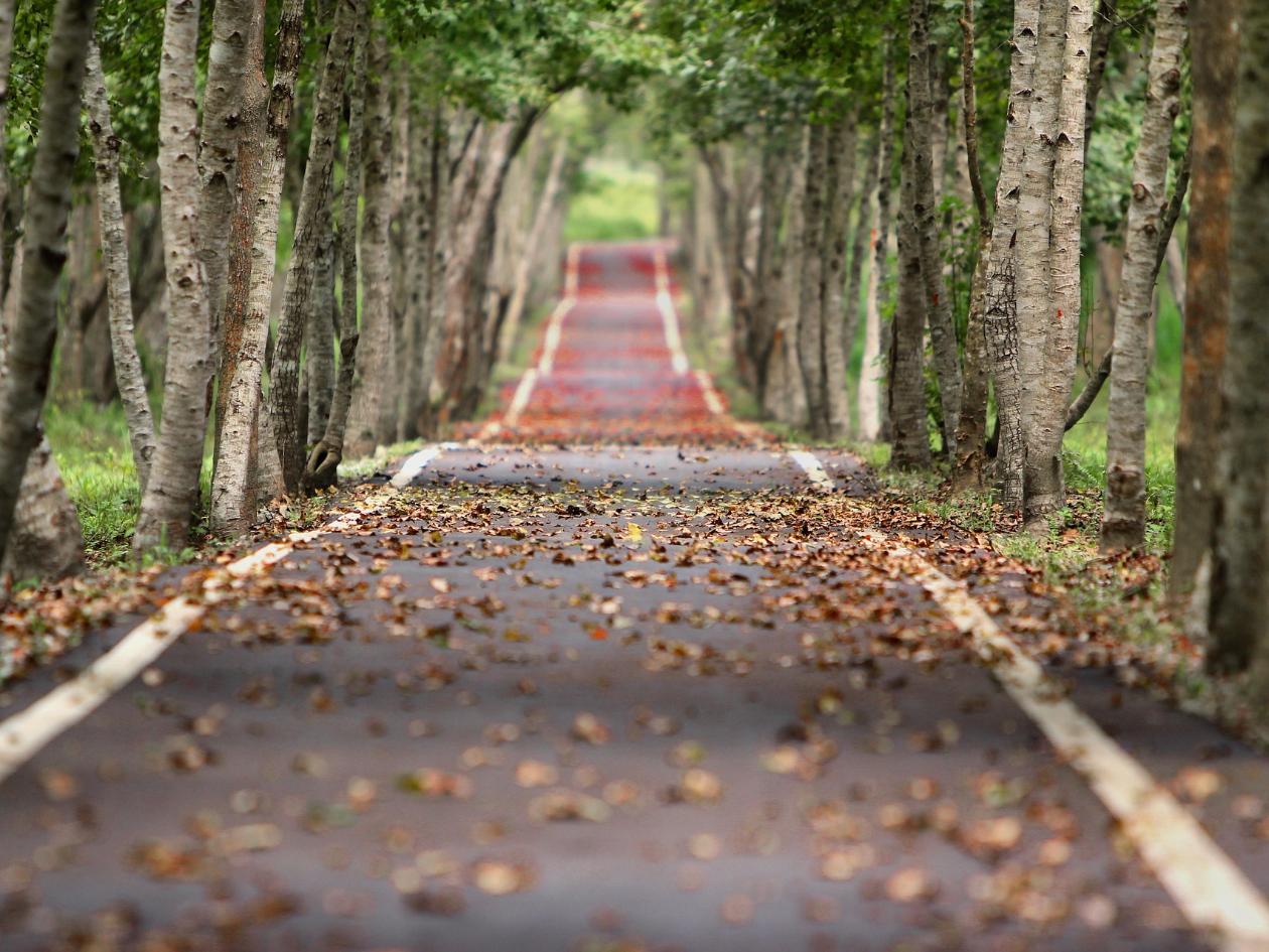 Herbst