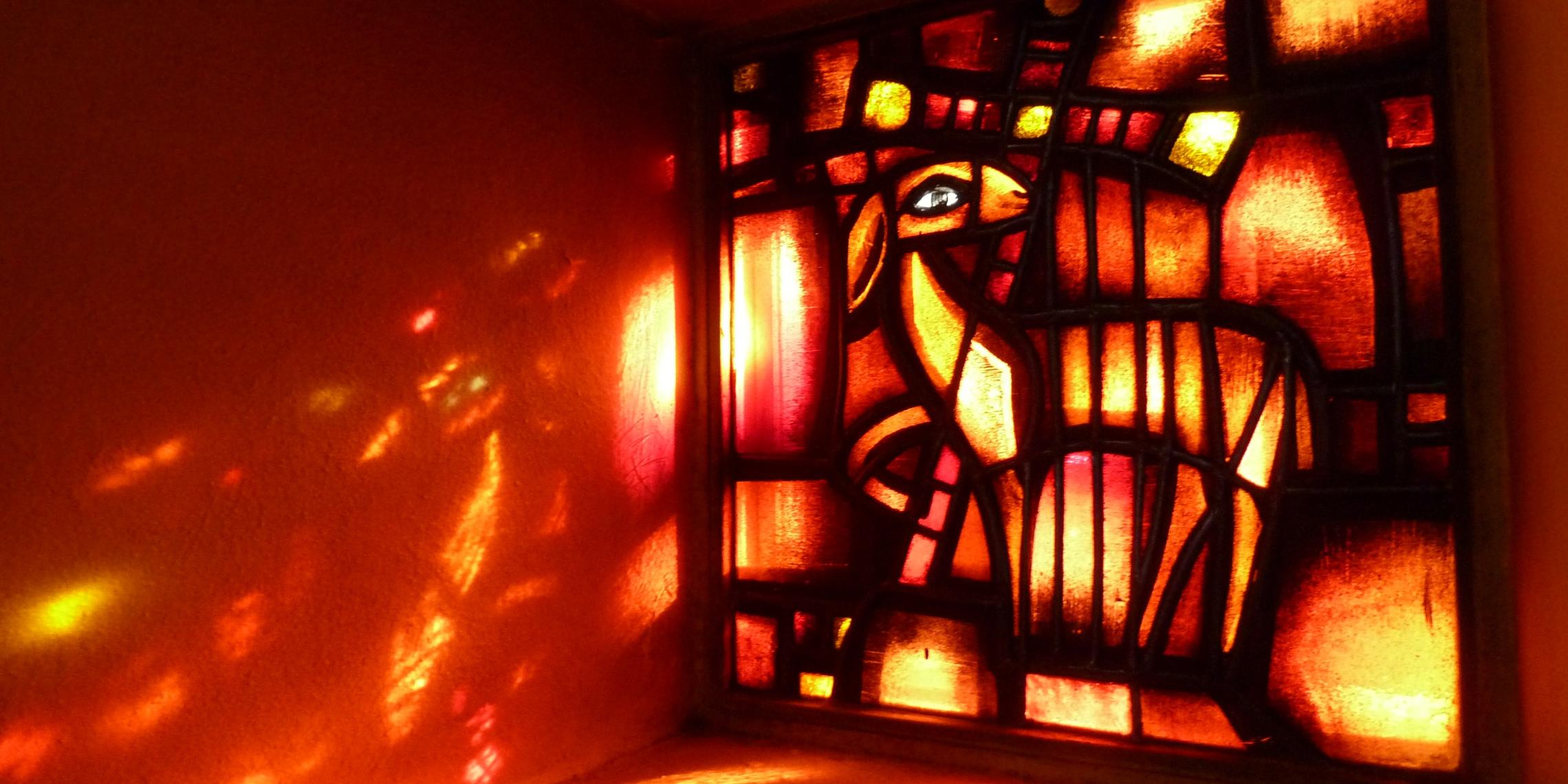 Taizé Fenster Kirchenfenster mit Lamm