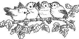 Spatz