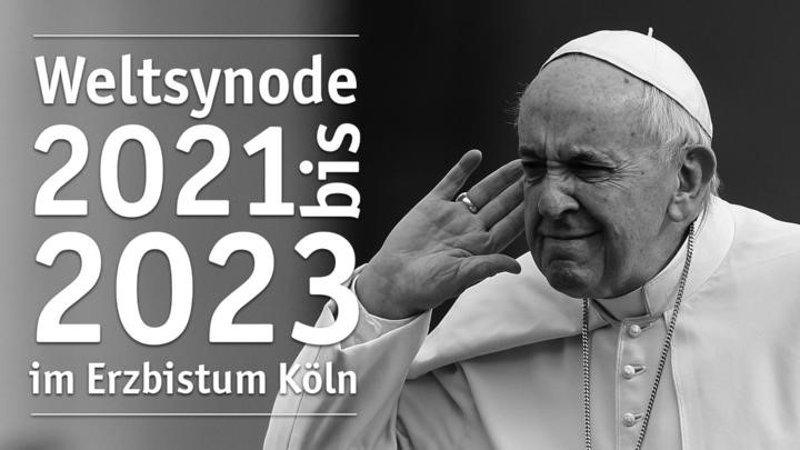 Weltsynode Papst