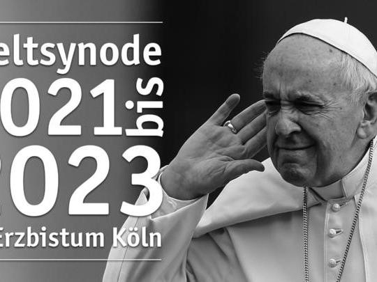 Weltsynode Papst