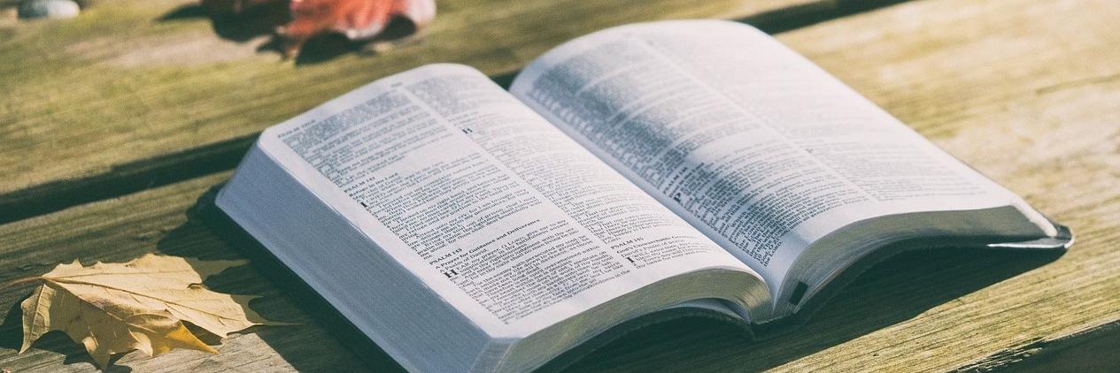 bible